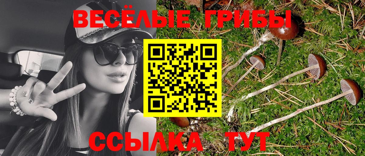 Балтийск  Галлюциногенные грибы ЛСД  Вход с VPN  Галлюциногенные грибы Psilocybe 
