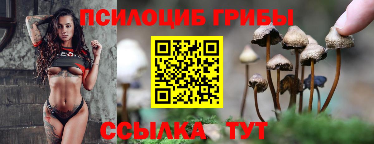 Галлюциногенные грибы GOLDEN TEACHER Балтийск